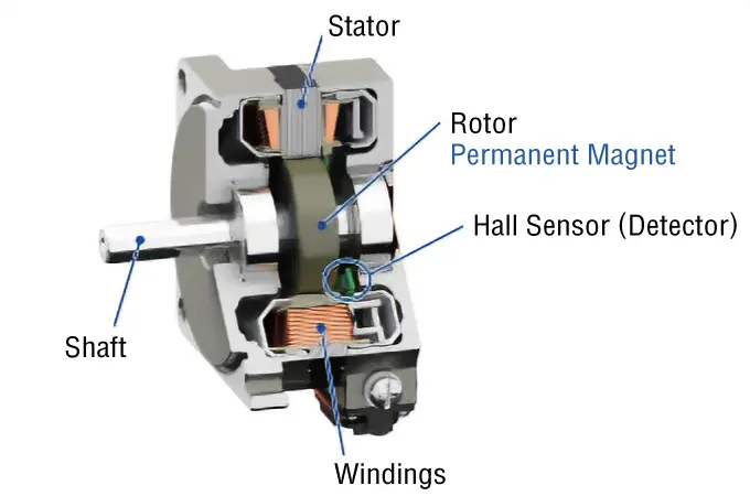 Structure of Brushless Motor