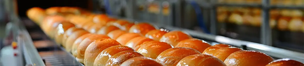 ขนมปังอบสดใหม่บนสายพานลำเลียงในโรงงานผลิตขนมปัง